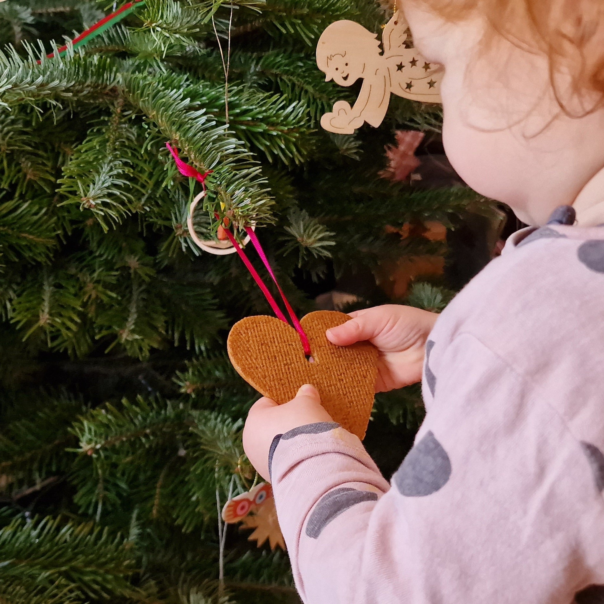 Kind nascht am Knut Tag Pfefferkuchen vom Weihnachtsbaum