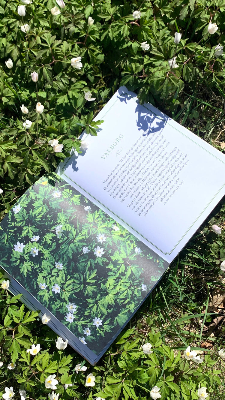 Astrid Lindgren Kochbuch aufgeschlagen in Buschwindröschenwiese