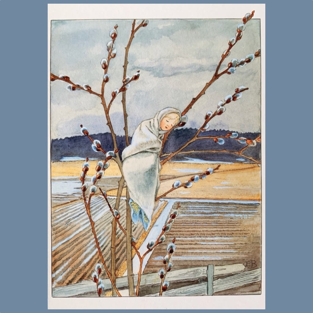 Postkarte Weidenkind von Elsa Beskow erhältlich im Mys-Shop
