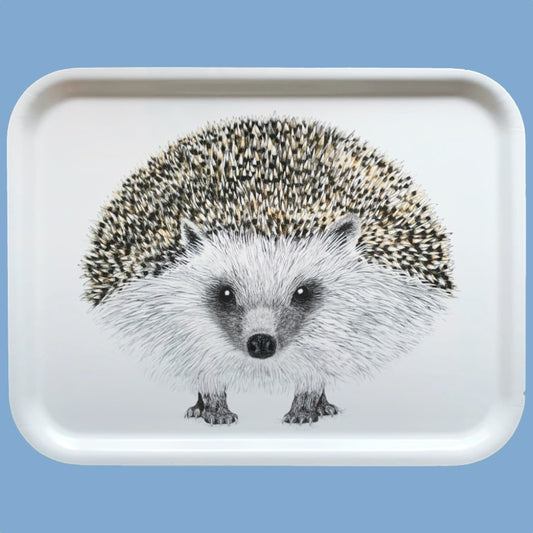 gezeichneter Igel von vorn auf weißem Untergrund