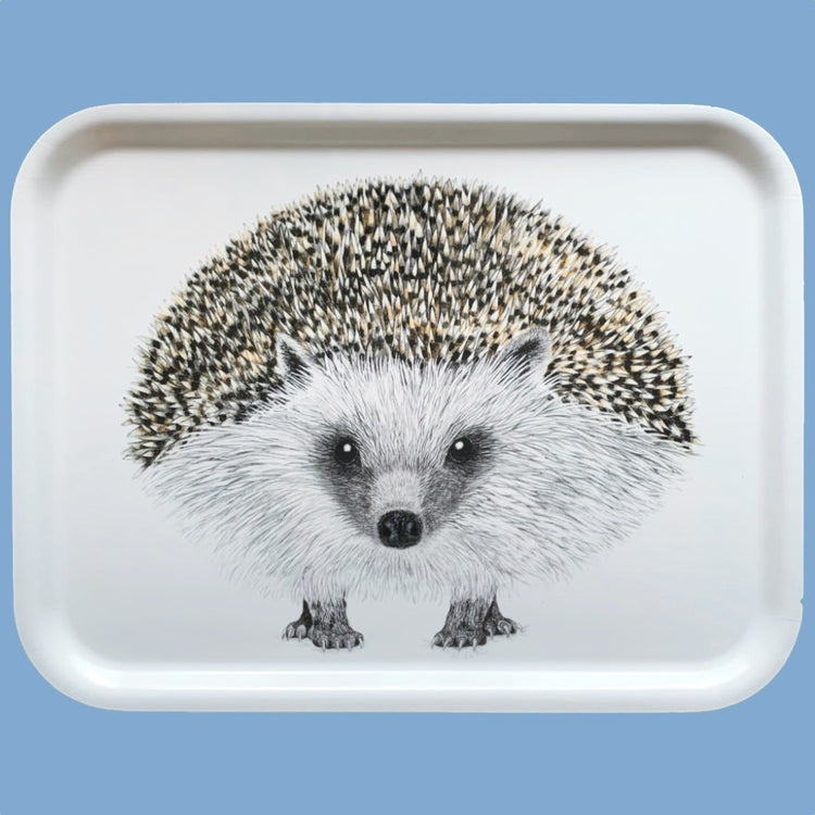 gezeichneter Igel von vorn auf weißem Untergrund