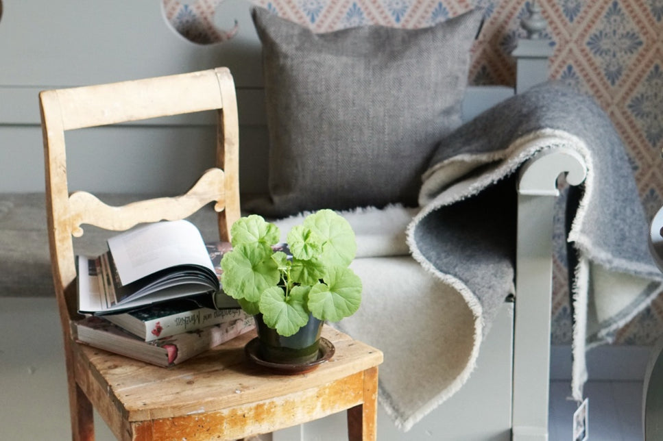 Alter Stuhl mit Büchern und Pelargonie vor Küchensofa im Laden