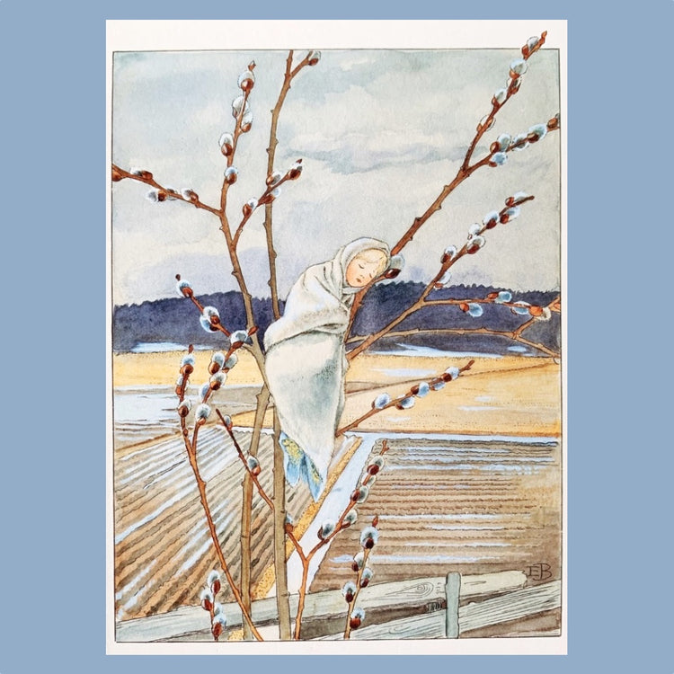 Postkarte Weidenkind von Elsa Beskow erhältlich im Mys-Shop