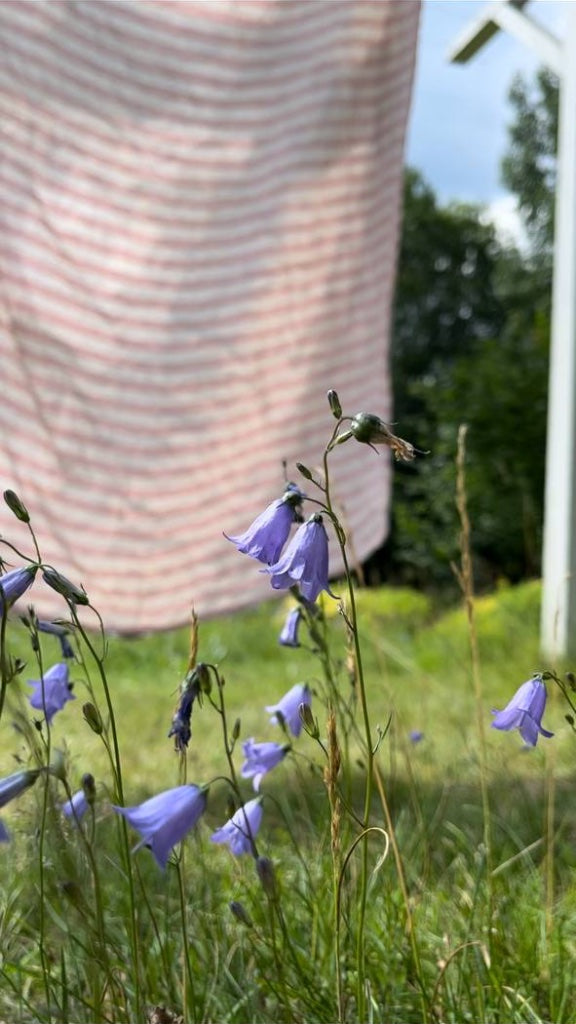 Badetuch Regnbåge aus Leinen ziegelrot auf schwedischer Wäscheleine mit Glockenblumen im Vordergrund