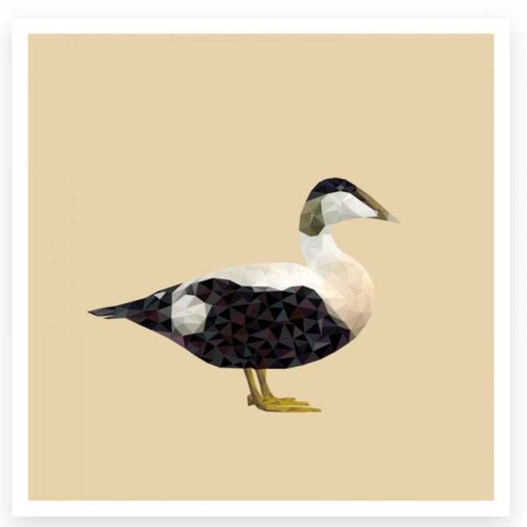 Karte_Eiderente_Plurr_Mys-Shop