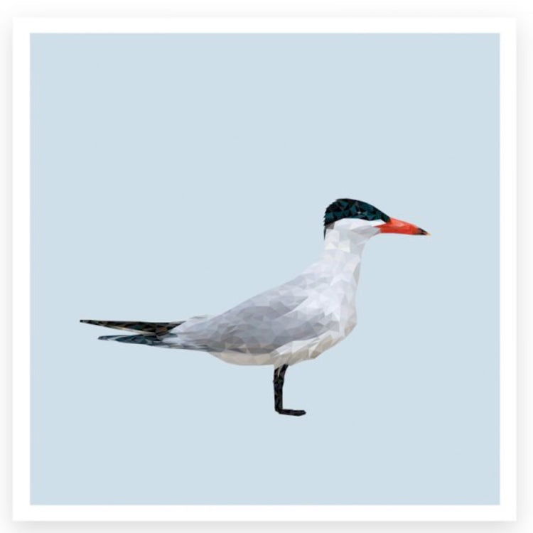 Karte_Raubseeschwalbe_Plurr_Mys-Shop