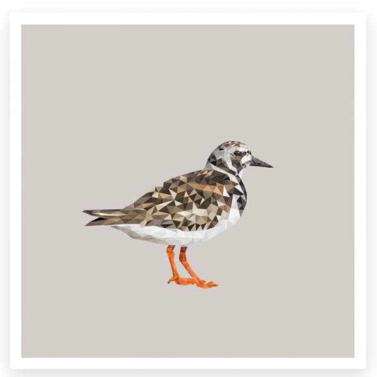 Karte_Steinwaelzer_Plurr_Mys-Shop