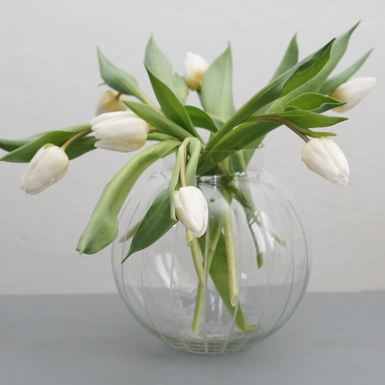 Vase Alinde aus Glas groß mit weißen Tulpen