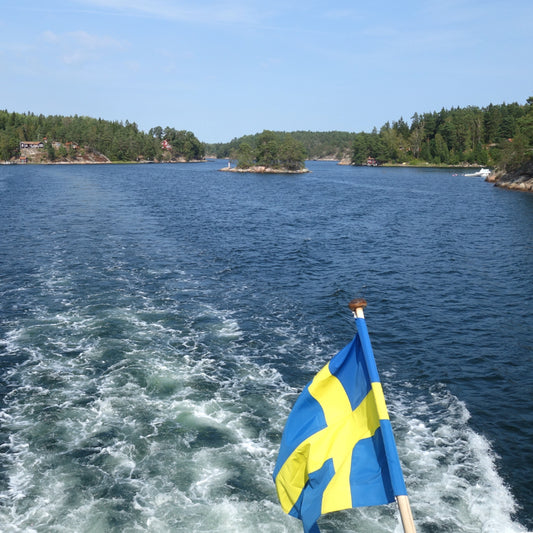 Warum gerade Schweden?