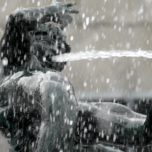 Von Fischen, Nymphen und einem Gott - Der Poseidonbrunnen in Göteborg