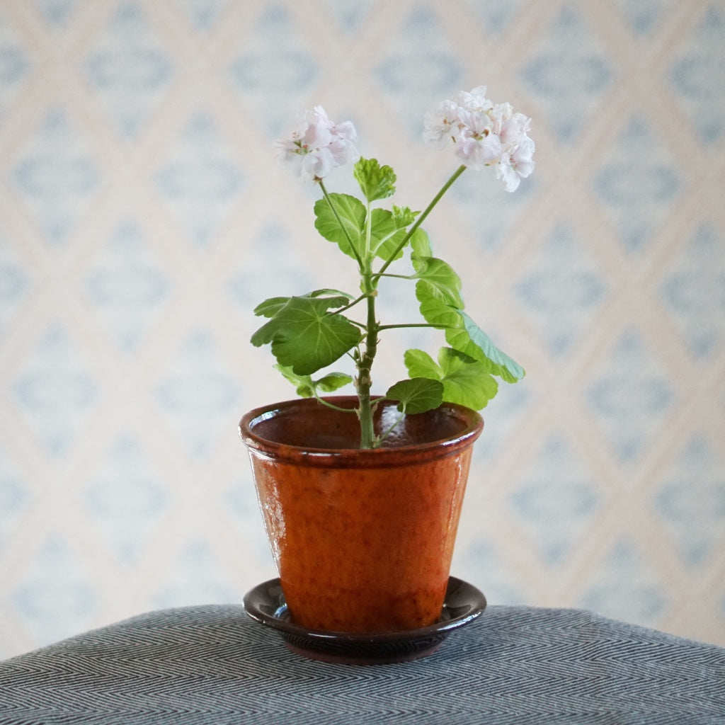 oranger Blumentopf aus Gränsfors mit Mårbackapelargonie auf Tisch vor Wand mit schweidischer Rombentapete
