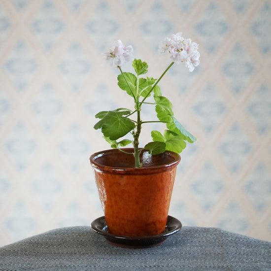 oranger Blumentopf aus Gränsfors mit Mårbackapelargonie auf Tisch vor Wand mit schweidischer Rombentapete