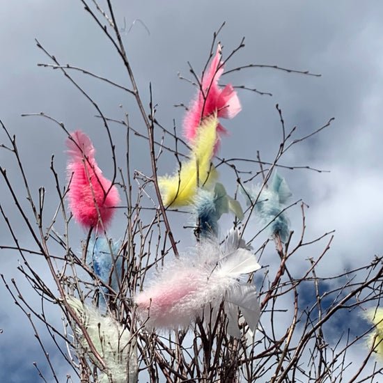 Bunte Federn an Strauch