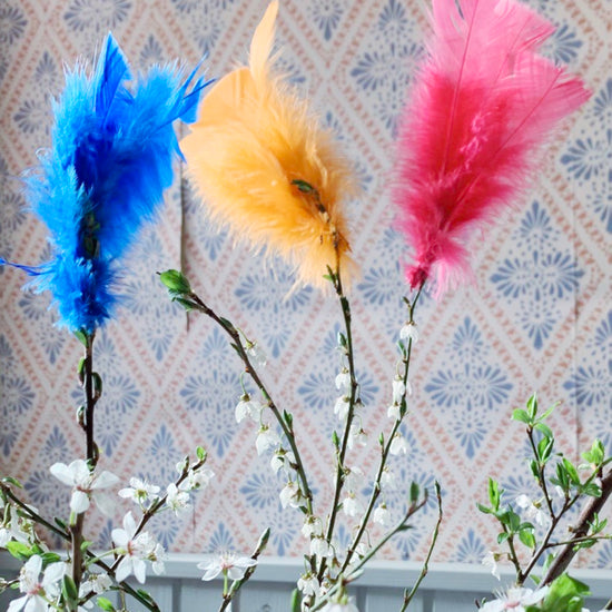 rote, orange, blaue Federn an Strauch im Laden