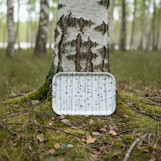 Holztablett mit Birkenstämmen am Fuße einer Birke