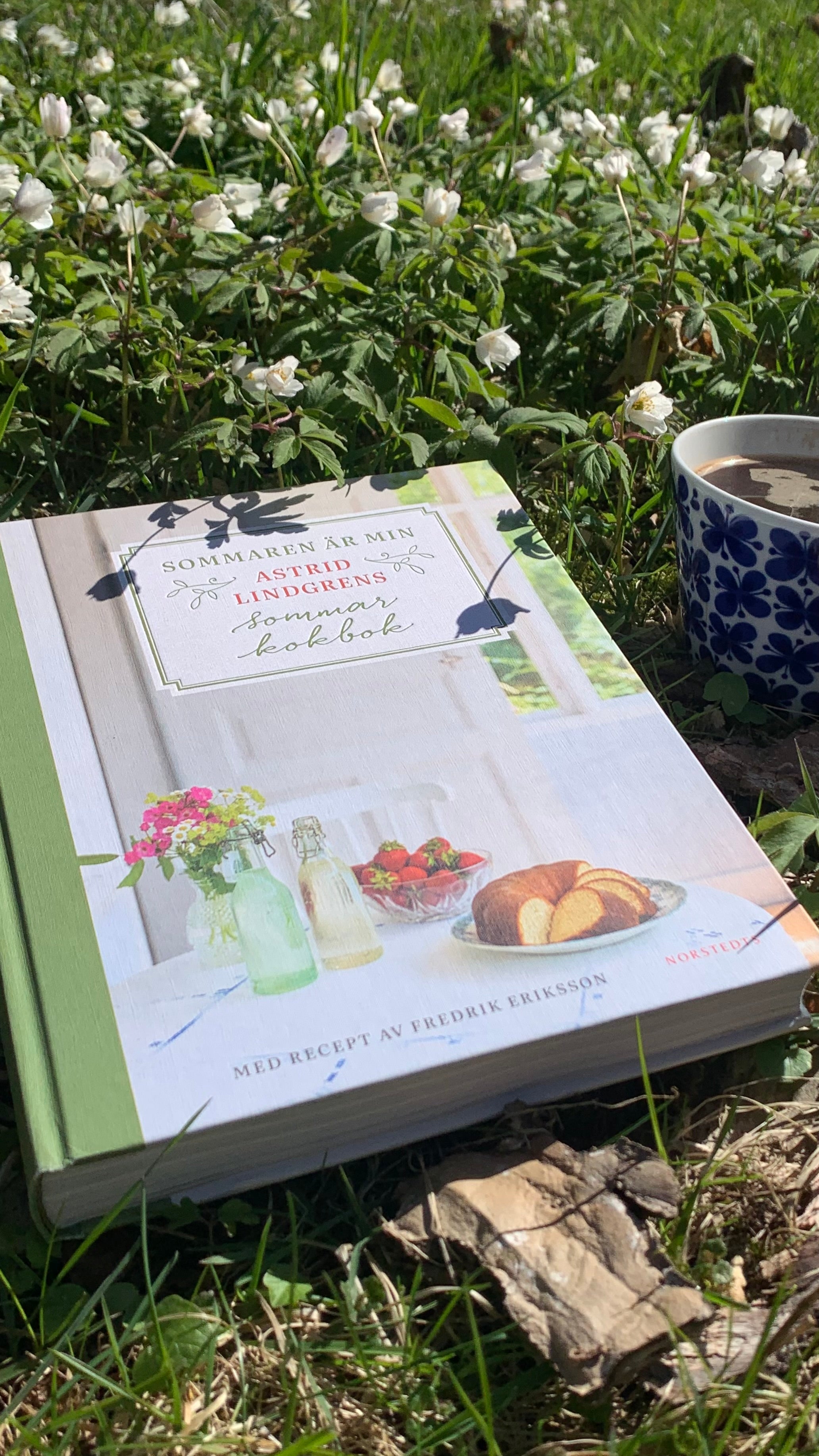 Astrid-Lindgren-Kochbuch und eine Kaffeetasse liegen bzw. stehen in einem Meer aus Buschwindröschen