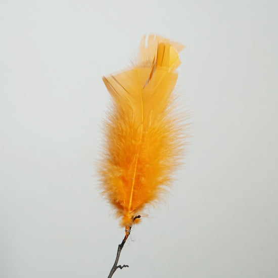 Feder_Ostern_Schweden_orange_Mys_Shop