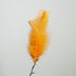 Feder_Ostern_Schweden_orange_Mys_Shop
