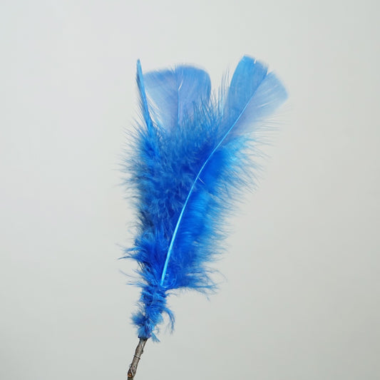 Feder_Schweden_blau_Mys_Shop