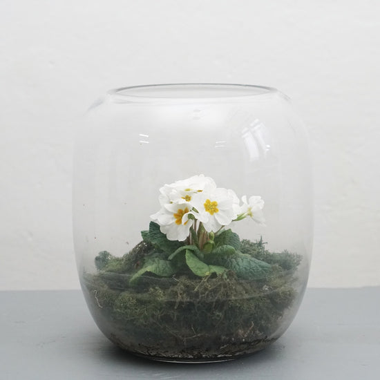 Vase_Forshem_Glas_Primel_Storefactory_Mys-Shop